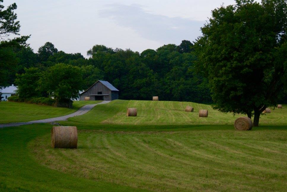 Barn Wedding, Tennessee Wedding, Tennessee Bride, Farm Wedding, Rustic Wedding, Wedding Venue, Cedar Hill, Country Wedding, Vintage Wedding, Elegant, Decor, Reception, Ceremony, Bride, Groom, Wedding Dress, Wedding Planning, Southern Wedding, Southern Bride, Wedding Ring, Engaged, Engagement Party, Rehearsal Dinner