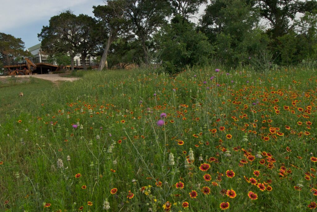 Austin Texas Wedding Venue, Austin, Texas, Wedding, Venue, Rustic Wedding, Vintage Wedding, Reception, Ceremony, Outdoor Ceremony, Gardens, Cowboy Wedding, Wedding Photography, Wedding Planning, Rehearsal Dinner, Bride, Groom, Austin Bride, Austin Groom, Catering, Wedding Cake, Wedding Day