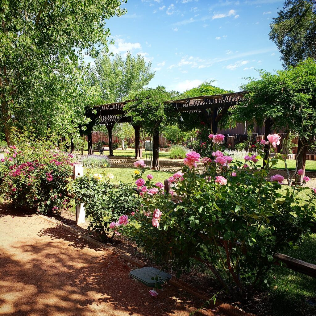 Santa Fe Wedding, Santa Fe New Mexico, New Mexico Wedding Venue, Venue, Wedding, New Mexico, Wedding Casa, Wedding Casita, Wedding Reception, Wedding Day, Wedding ceremony, Wedding Garden, Outdoor Wedding, Wedding Planning, Wedding Dress, Bride, Groom, Engaged couple, Wedding Photographer, Santa Fe Bride