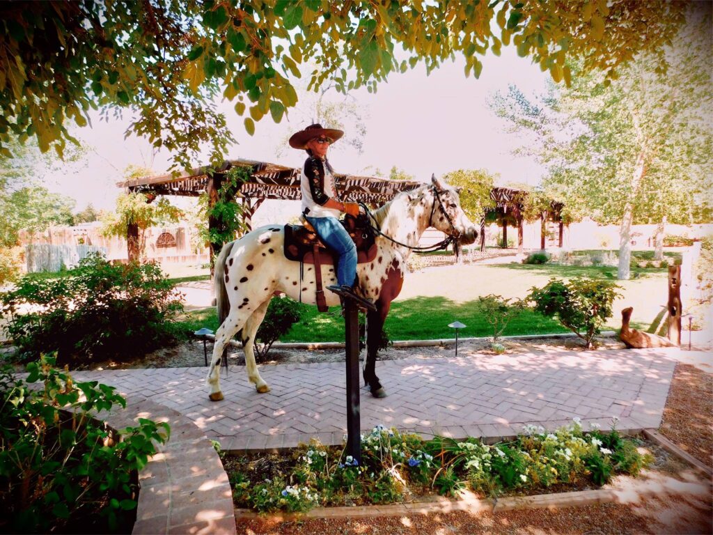 Albuquerque Wedding, Albuquerque New Mexico, New Mexico Wedding Venue, Venue, Wedding, New Mexico, Wedding Casa, Wedding Casita, Wedding Reception, Wedding Day, Wedding ceremony, Wedding Garden, Outdoor Wedding, Wedding Planning, Wedding Dress, Bride, Groom, Engaged couple, Wedding Photographer