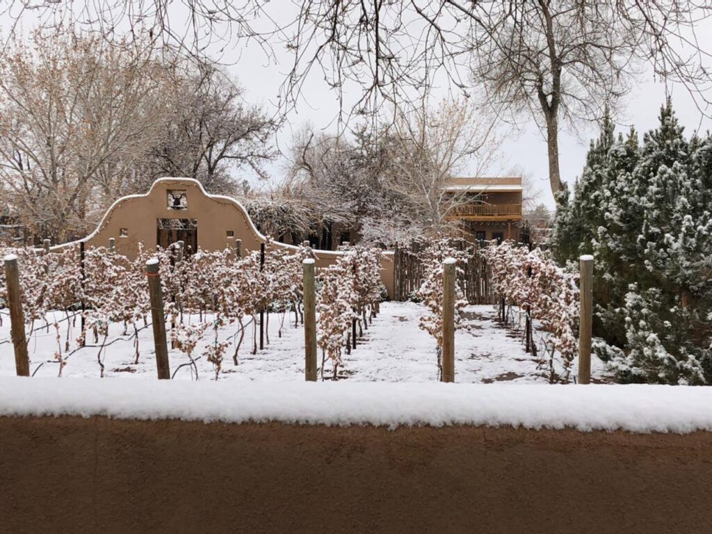 Santa Fe Wedding, Santa Fe New Mexico, New Mexico Wedding Venue, Venue, Wedding, New Mexico, Wedding Casa, Wedding Casita, Wedding Reception, Wedding Day, Wedding ceremony, Wedding Garden, Outdoor Wedding, Wedding Planning, Wedding Dress, Bride, Groom, Engaged couple, Wedding Photographer, Santa Fe Bride