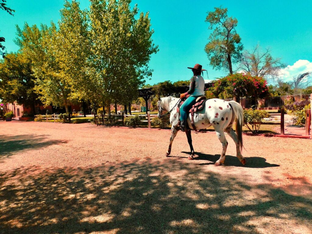 Santa Fe Wedding, Santa Fe New Mexico, New Mexico Wedding Venue, Venue, Wedding, New Mexico, Wedding Casa, Wedding Casita, Wedding Reception, Wedding Day, Wedding ceremony, Wedding Garden, Outdoor Wedding, Wedding Planning, Wedding Dress, Bride, Groom, Engaged couple, Wedding Photographer