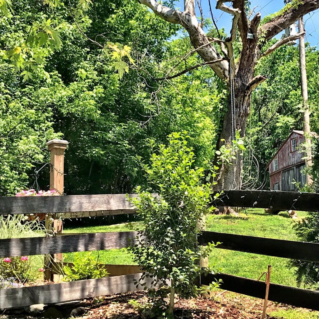 Winding Creek Farm, Wedding Venue, Leesburg Wedding, Loudoun Country, Rustin Wedding, Barn Wedding, Virginia Wedding, Country Wedding, Washington DC Wedding, DIY Wedding, Wedding Day, Wedding Planner, Wedding Venue, Venue Owner, Farm, Barn, Bride, Groom, Couple