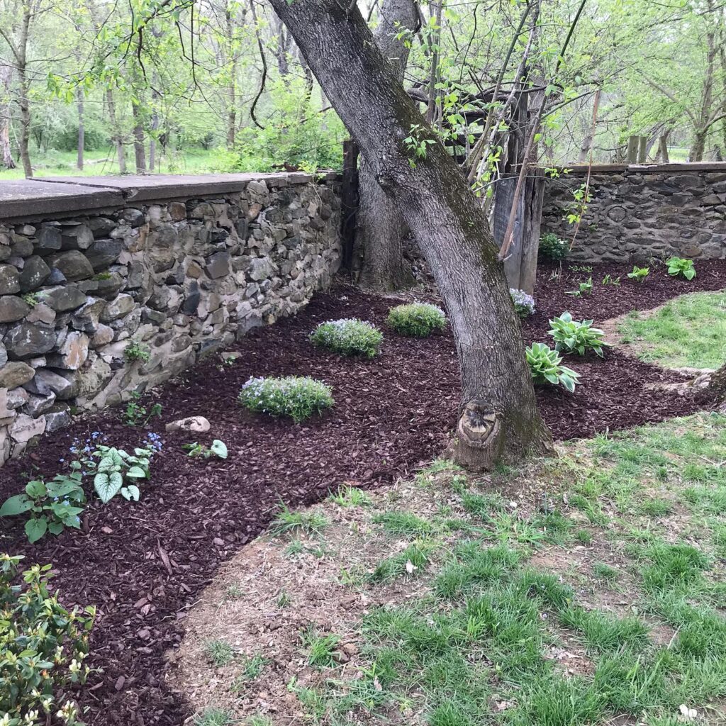 Winding Creek Farm, Wedding Venue, Leesburg Wedding, Loudoun Country, Rustin Wedding, Barn Wedding, Virginia Wedding, Country Wedding, Washington DC Wedding, DIY Wedding, Wedding Day, Wedding Planner, Wedding Venue, Venue Owner, Farm, Barn, Bride, Groom, Couple