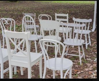 Wedding Venue Chairs For Sale