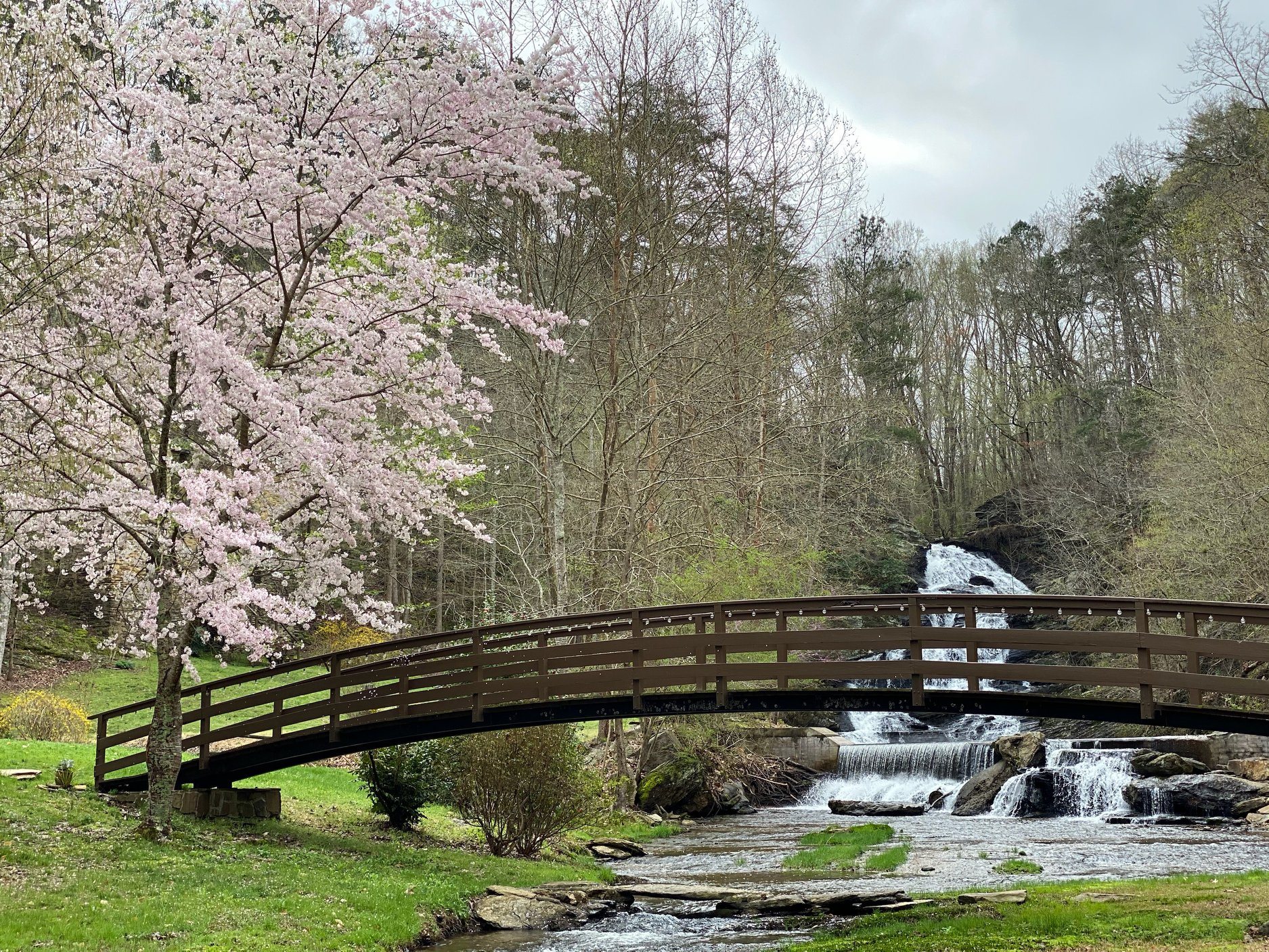 Locally Owned Wedding venue, Hightower Falls, Near Atlanta, Georgia, Waterfall, waterfall wedding venue, wedding venue near Georgia, Marietta Georgia, Waterfall weddings, waterfalls in Georgia