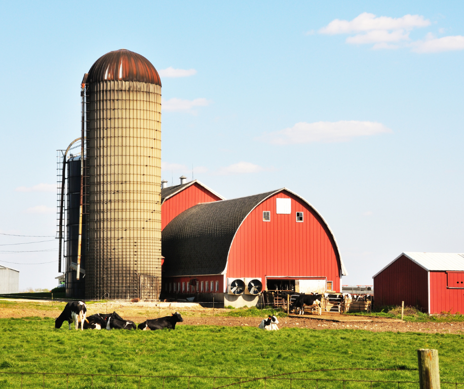 Should You Transform Your Farm Into a Wedding Venue?