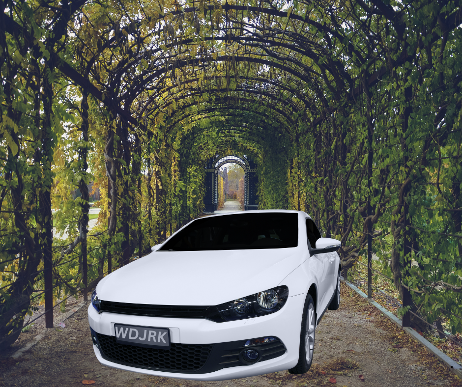 75 Reasons Wedding Venue Owners Should Communicate with Wedding Guests Before The Wedding