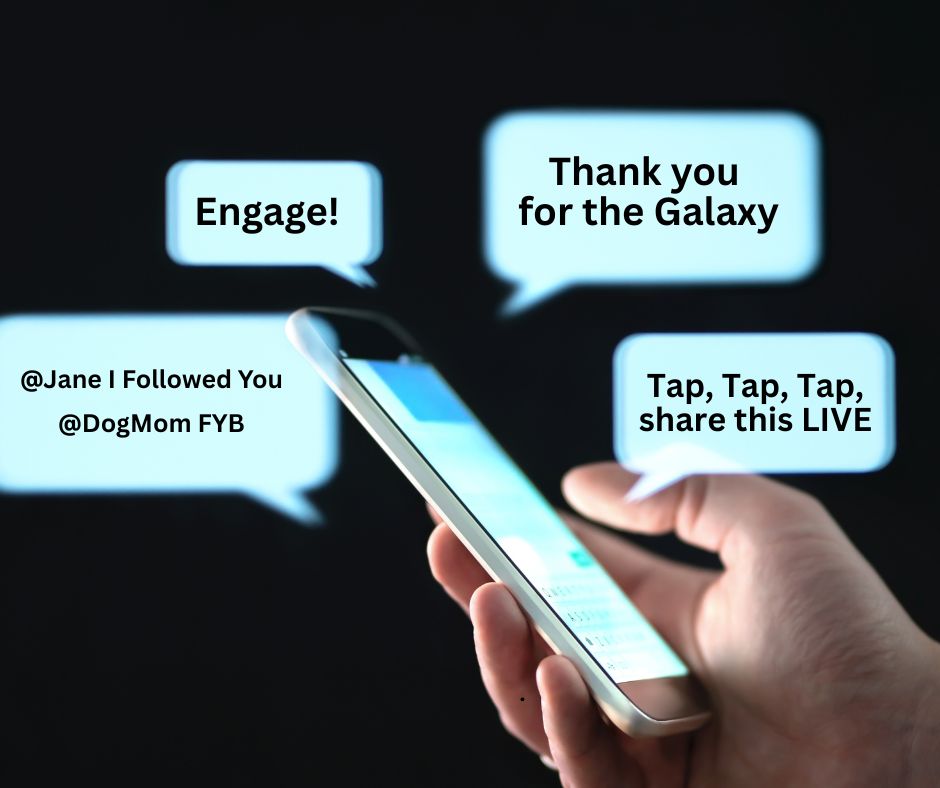 The Ultimate Guide to a TikTok Follow Party