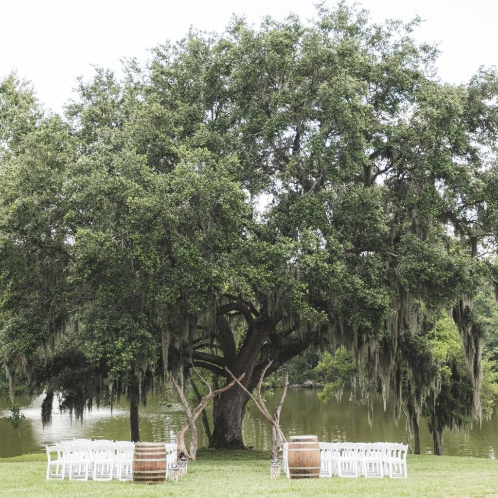 The Best Wedding Venues in Savannah: Spotlight on Red Gate Farm