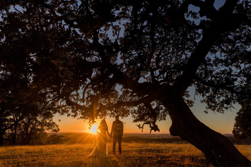 Sacramento Wedding Venues: What to Know Before You Book