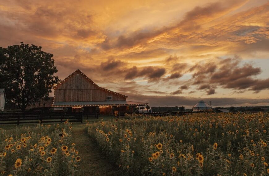 Columbus Ohio wedding venue 22 Acres Farm