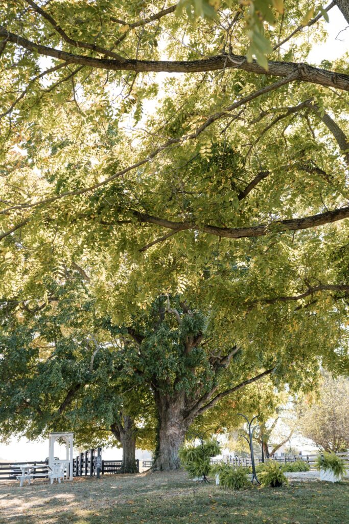 Columbus Ohio Wedding Venues With Pricing and outdoor wedding ceremony with garden