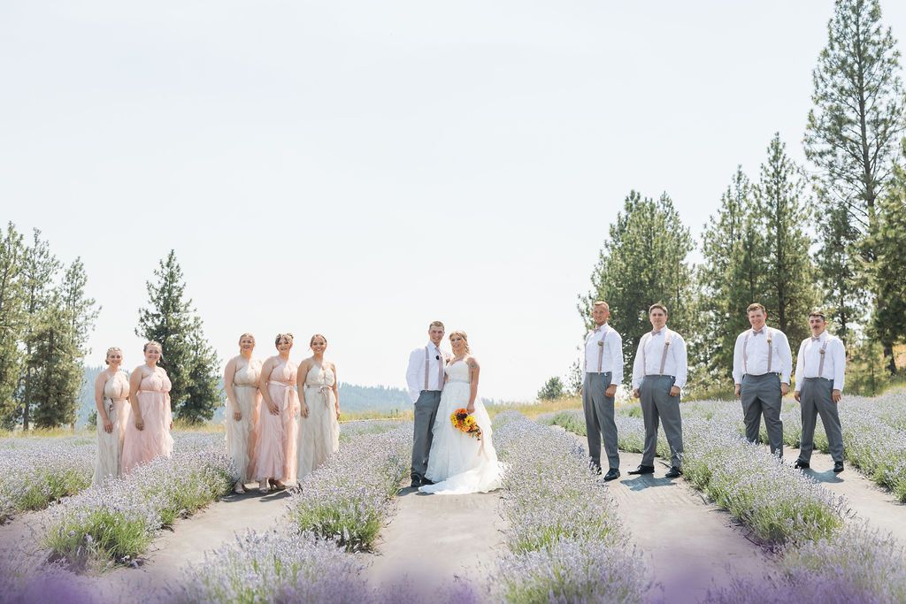 Bride, groom, bridesmaids and groomsmen post for wedding day photos among the rows of lavender with mountain & forest in the background.