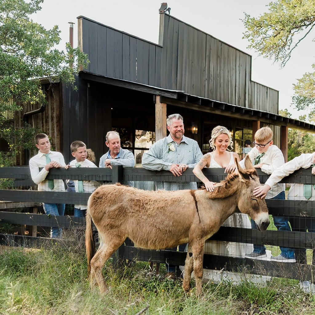 Willow Sky Ranch Texas Hill Country wedding venue a true ranch with rustic luxury overnight lodging, Treehouse Airbnb, in Fredericksburg Texas near Austin, San Antonio & Dripping Springs
