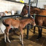 Mama & Baby Houston Texas Wedding Ranch