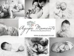 Maple Ridge Farm Featured Vendor, Agape Moments Photography