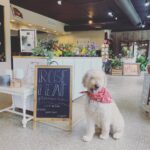 Rose Leaf Flowers
https://www.facebook.com/RoseLeafFlowers/ Columbus Ohio Wedding Flowers