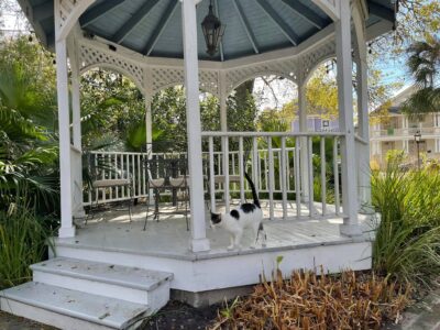 Wedding Venue Owners Working Vacation, New Orleans The Benachi House