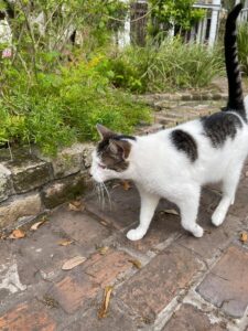 Wedding Venue Owners Working Vacation New Orleans Wedding Venue