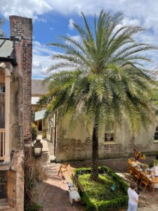 Race & Religious Wedding Venue
www.raceandreligious.com French Quarter Wedding Venue